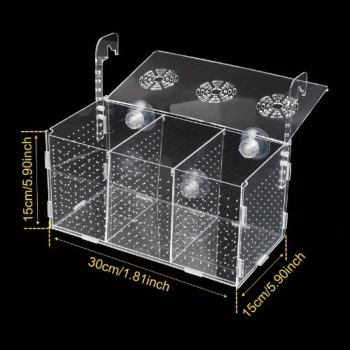 Preview: Acrylic quarantaine case 300x150x150mm (Schwimmschule)